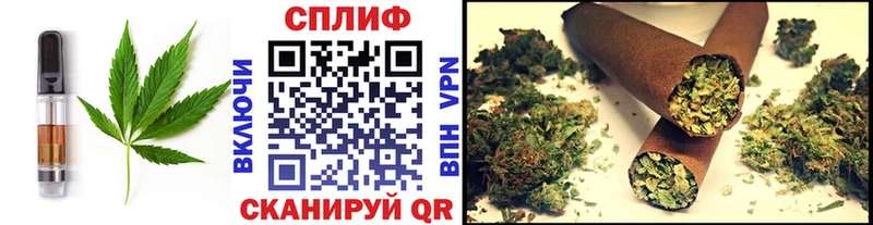 где купить наркотик  OMG зеркало  Canna-Cookies конопля  Петрозаводск 