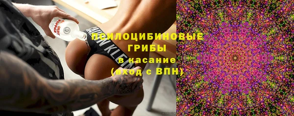 мяу мяу мука Горняк