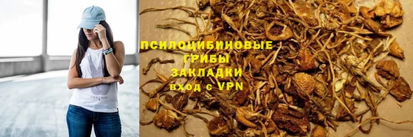 мяу мяу мука Горняк