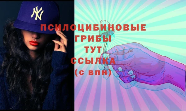 мяу мяу мука Горняк